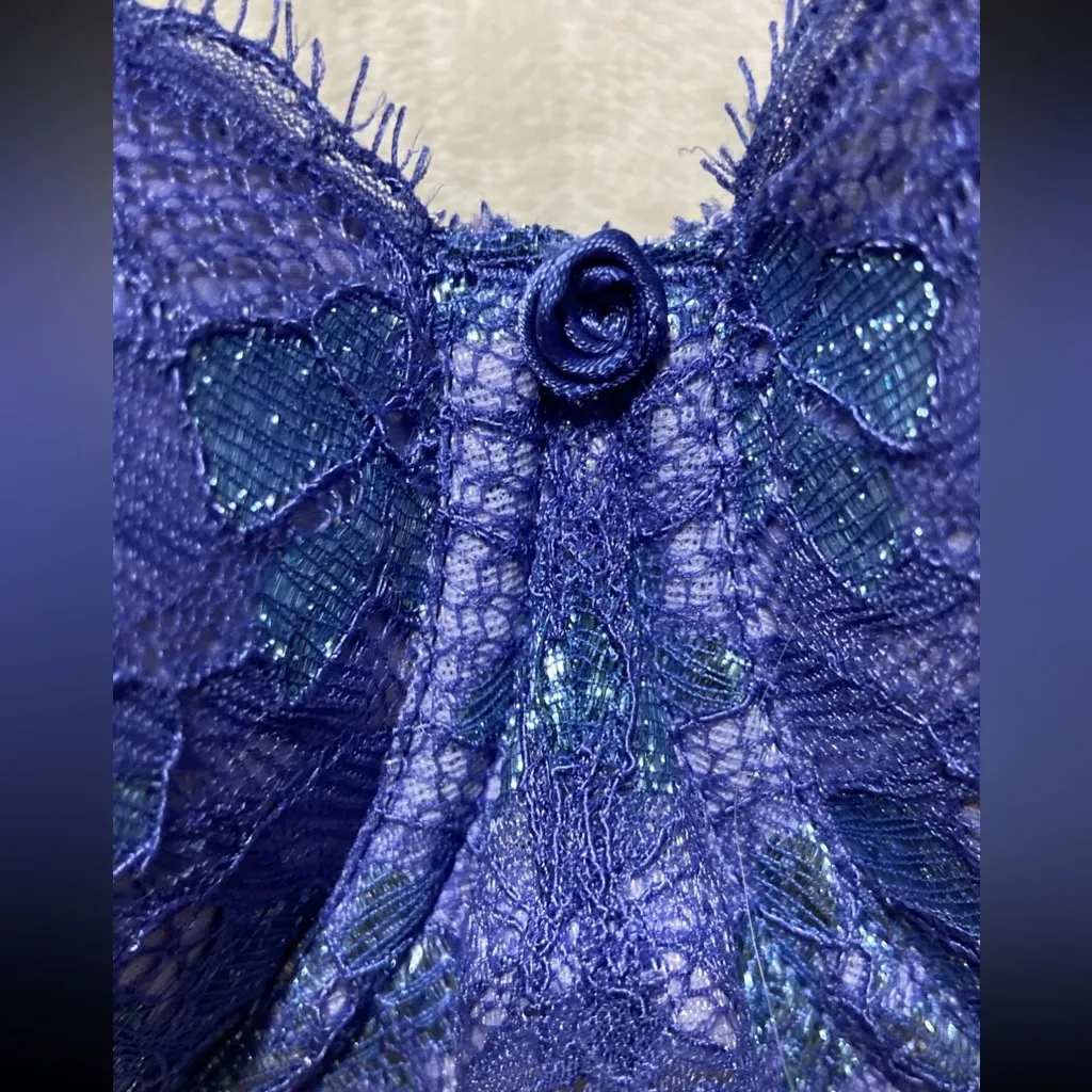 Victoria's Secret ~Dream Angels ~Demi Size 34DDD Sparkle~Lace. - Image 6