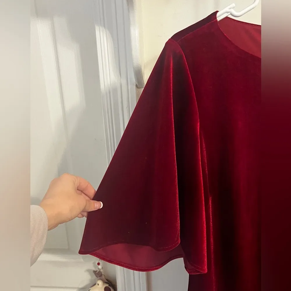 FINAL PRICE Red Velvet Badgley Mischka Dress - Image 5