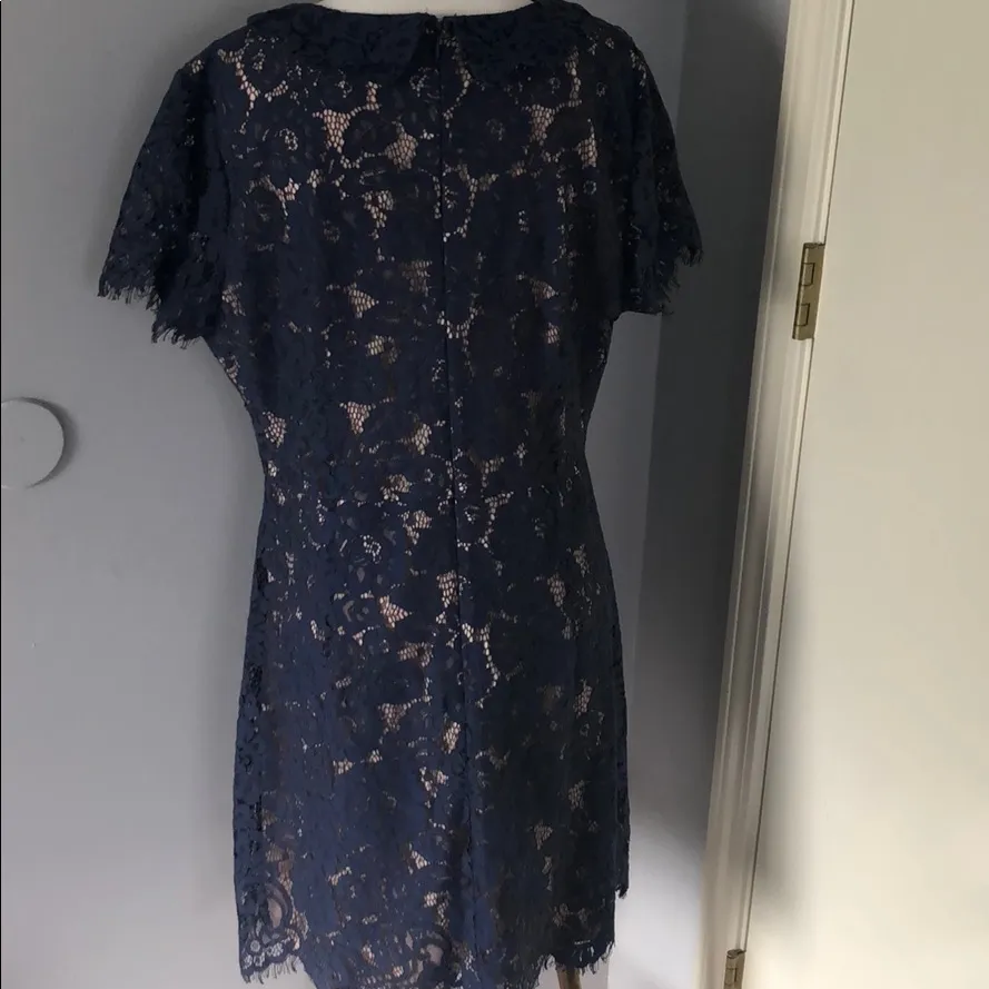 Chelsea & Violet navy lace dream size xl but first L - Image 6
