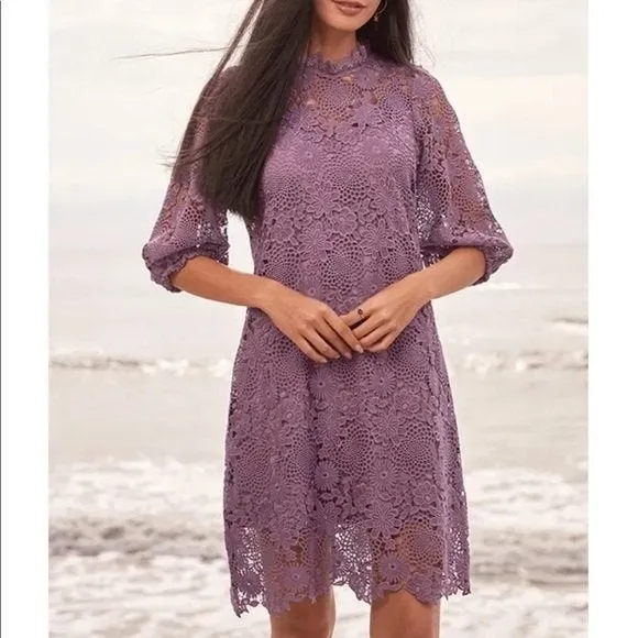 Johnny Was Lorrie Lace Eyelet Mini Dress - Image 4