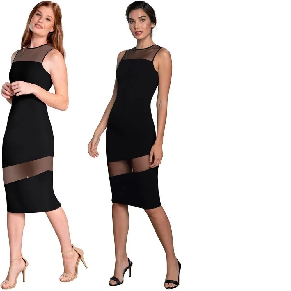 NWT Dress The Population Valerie Sheer Bodycon Midi Dress - Image 4