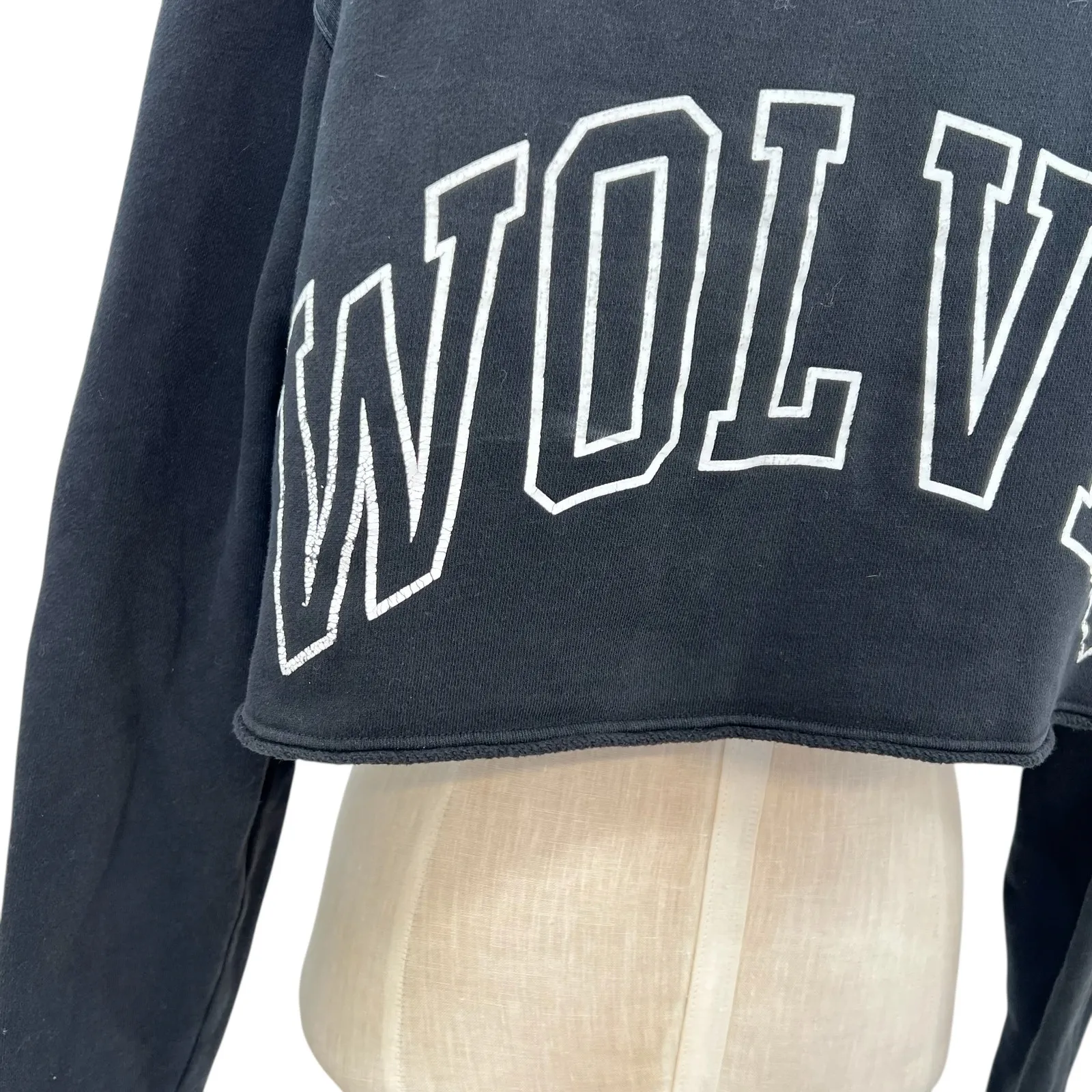 Darc Sport Wolves Cropped Hoodie Sweatshirt Eyes Utah Black Size Small - Image 9