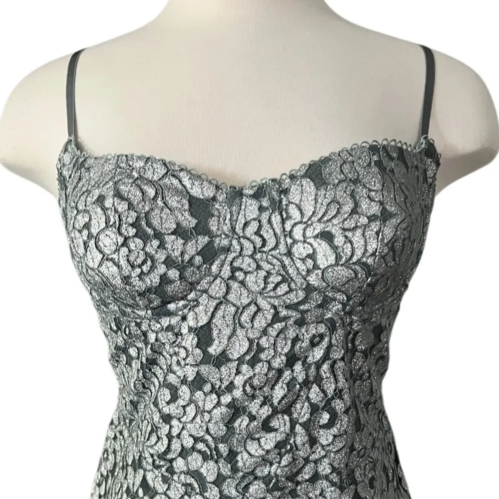 House Off CB KATJA Silver Metallic Lace Corset Dress Size Large Plus Cup - Image 14