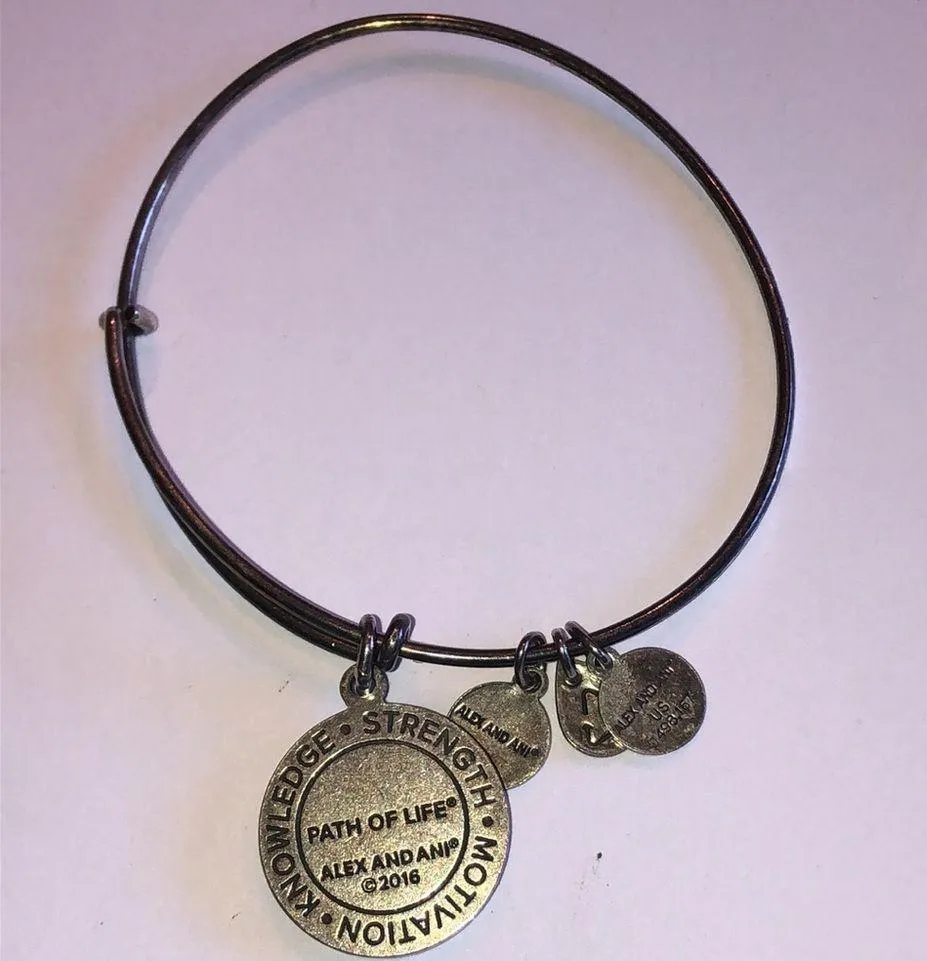 Alex And Ani 2016 Path of Life Eternity Infinity Silver Tone Bangle Bracelet - Image 5