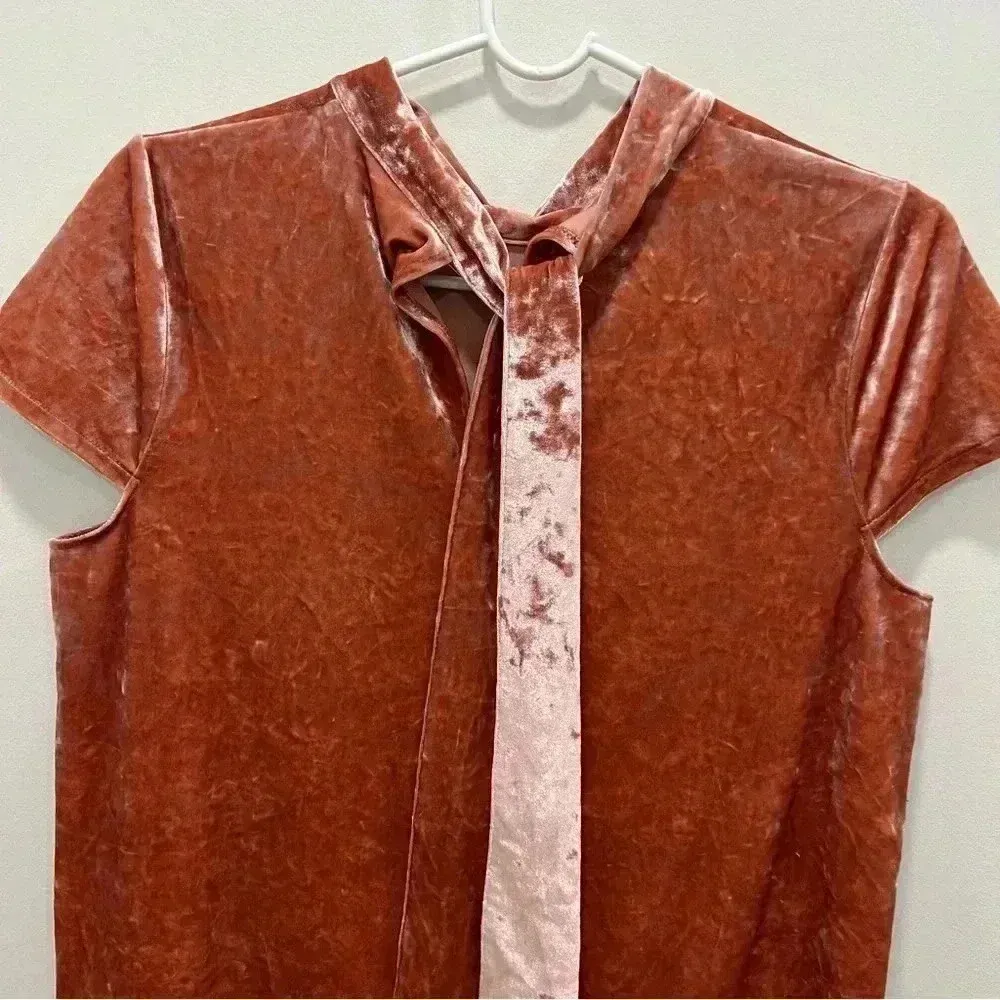 Madewell Soft Pink Crushed Velvet Mockneck Dress, Size M - Image 6