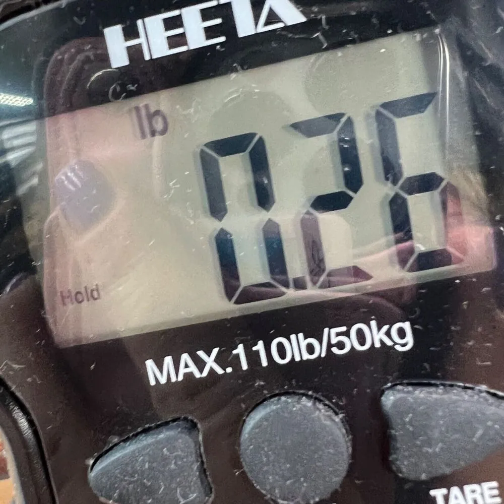 Everlane T Shirt Womens S Butter Yellow Striped Organic Cotton Preppy Casual NEW - Image 13