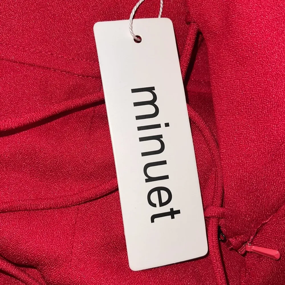 Sale! 🔥🔥 NWT! Minuet Long Ruffle Slit Dress With Lace Up Back Size Medium Red - Image 4