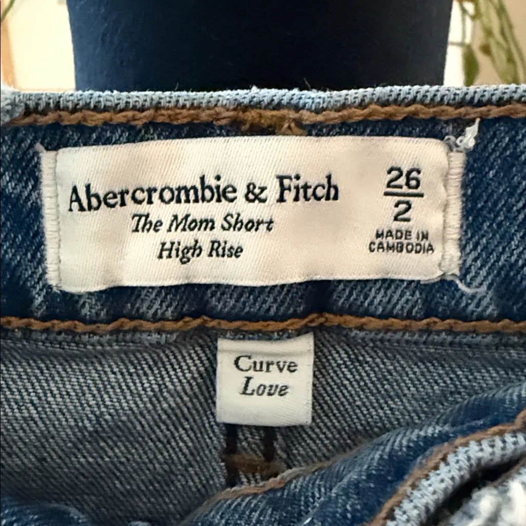NWT Abercrombie & Fitch Curve Love The Mom High Rise Denim Jean Shorts - Image 3