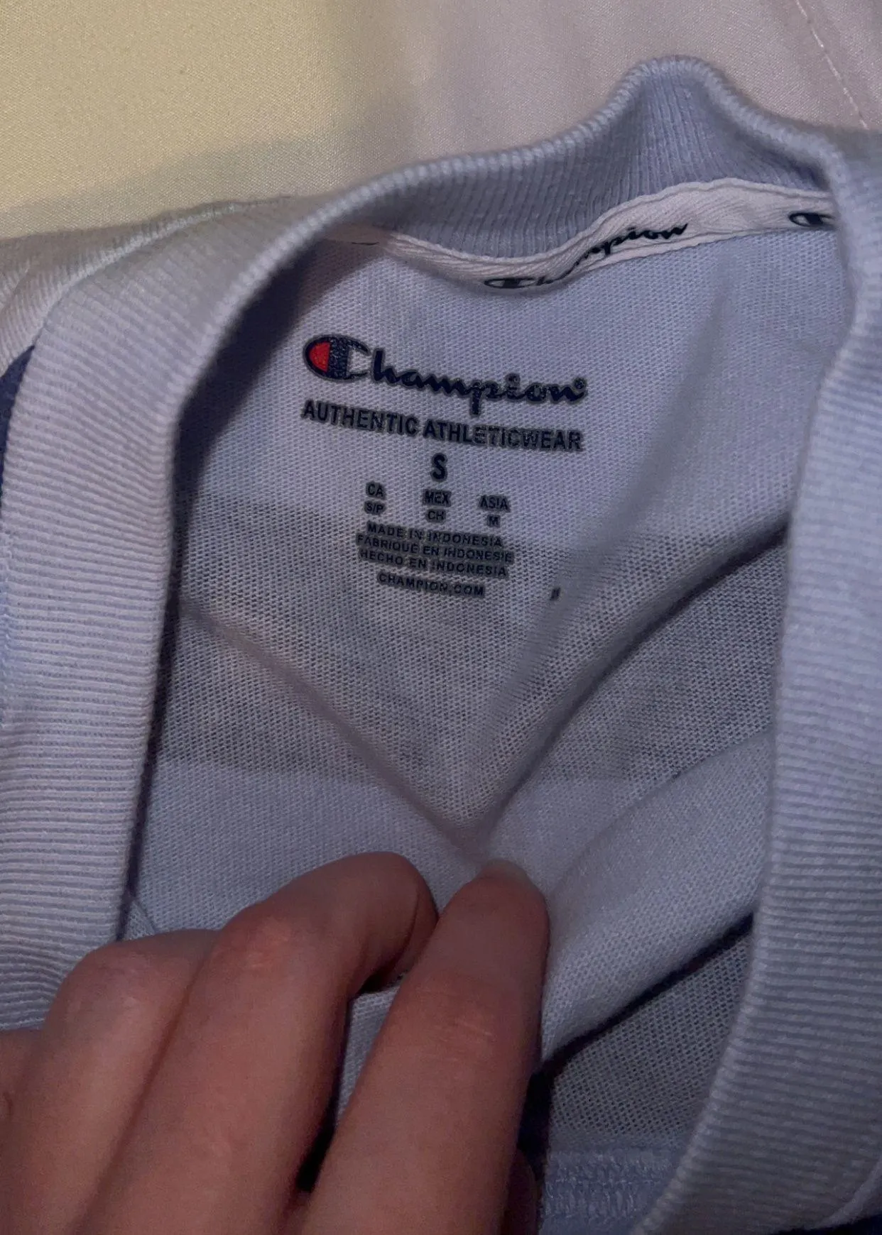 Champion Crewneck - Image 3