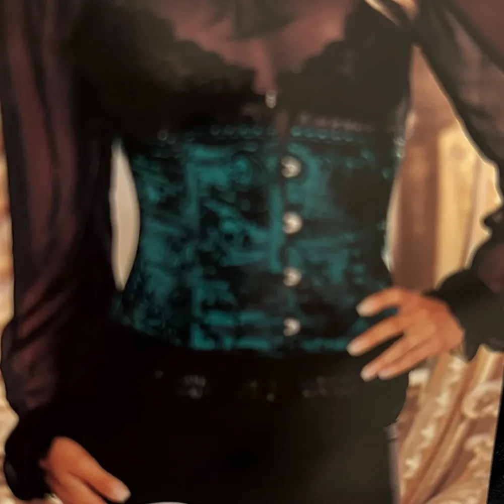 Shirley Of Hollywood Red Satin Black Velvet Paisley Corset Size L - Image 2