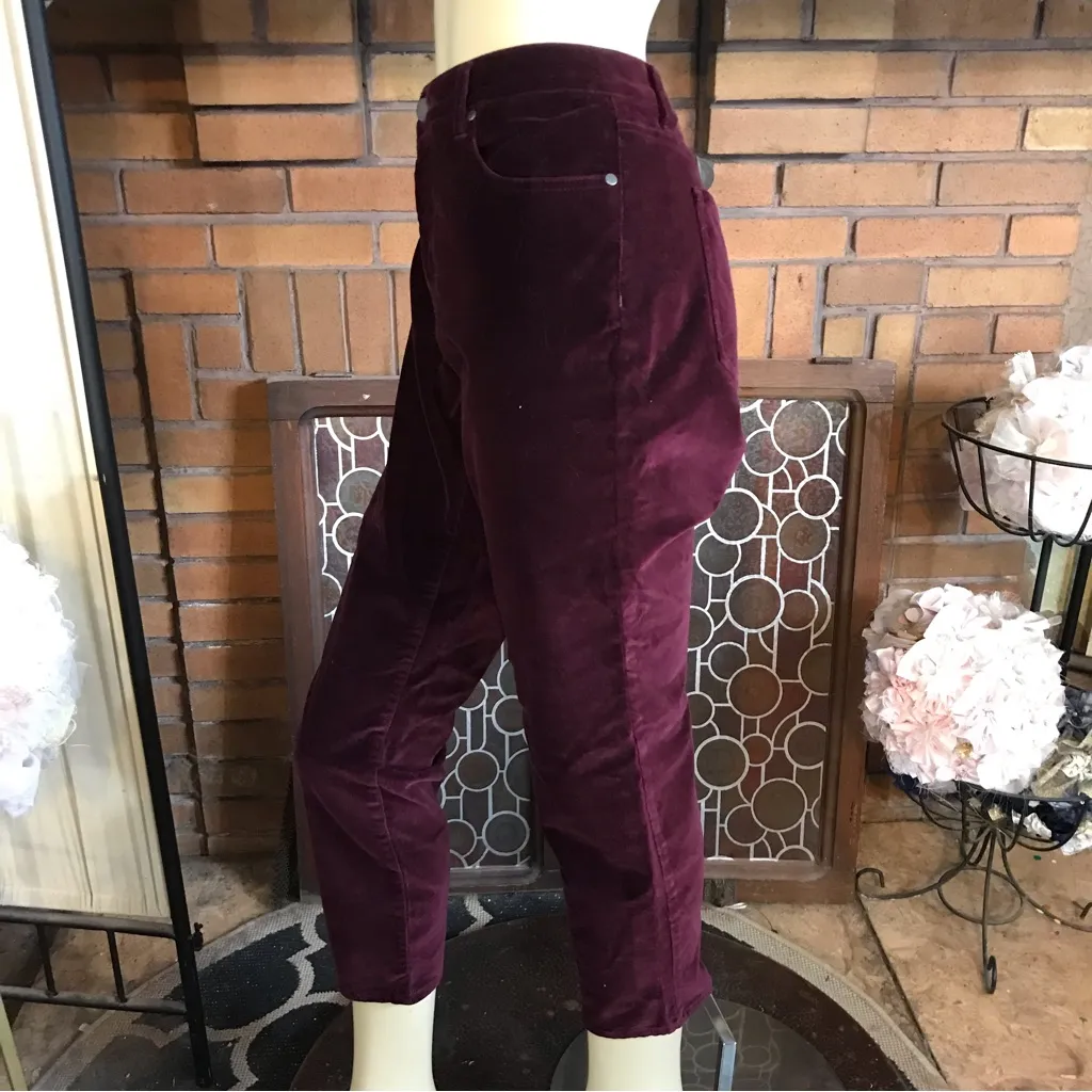 RUFF HEWN BURGUNDY VELOUR TROUSER PANTS (12) - Image 5