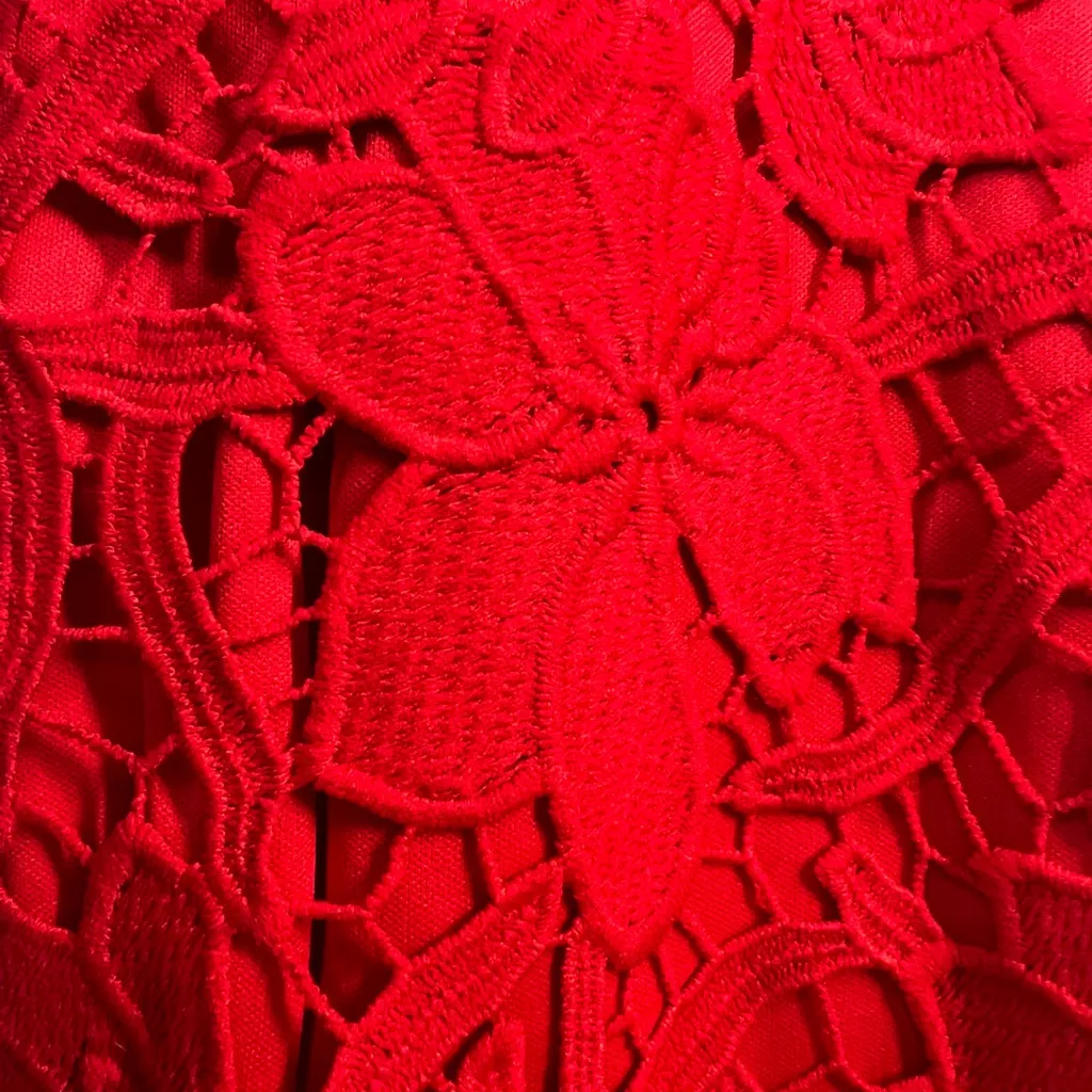 No Secrets Milano Italy Floral Lace Off Shoulder Holiday Christmas Formal Dress Red Size M - Image 5