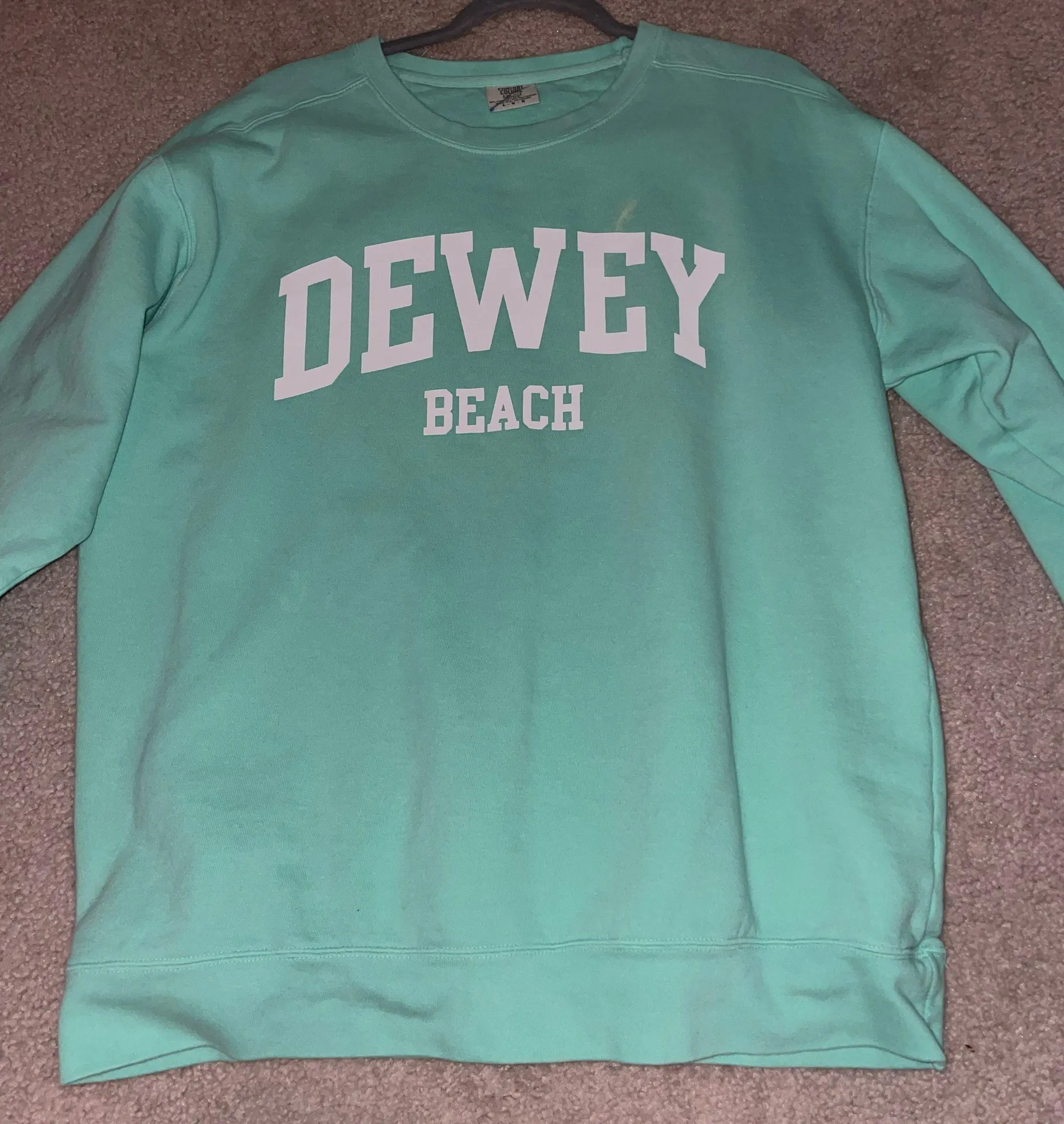 Comfort Colors Dewey Beach Crewneck - Image 3