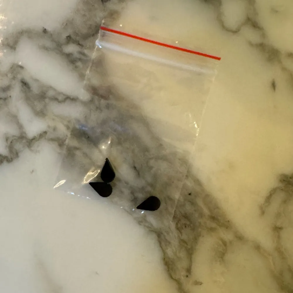 New Watermelon Eyes Acrylic Box Bag Black - Image 6