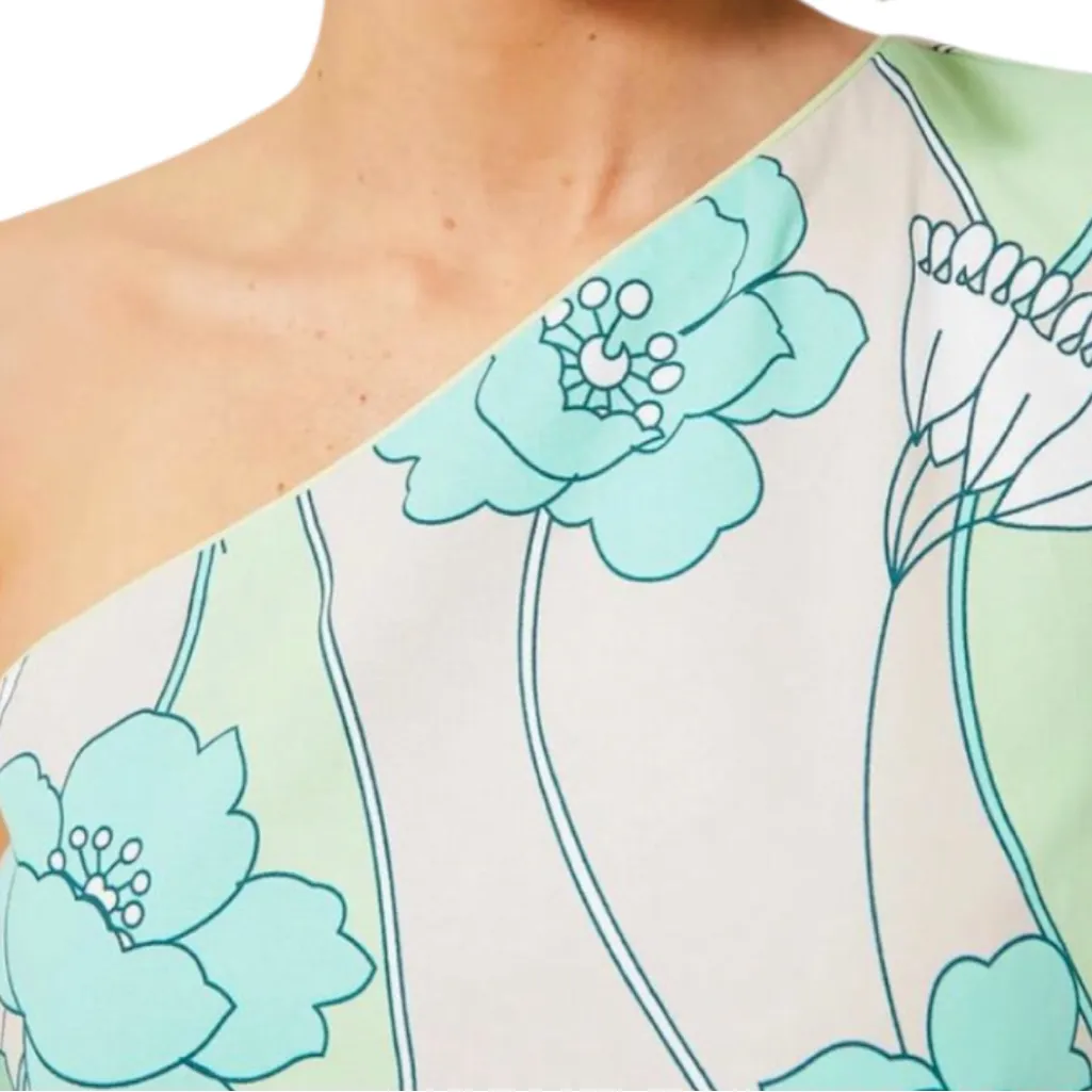 NWT Tuckernuck Hyacinth House Sabine Floral One Shoulder A-Line Dress Small - Image 3