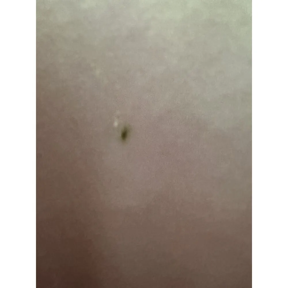 lilly pulitzer CHARLA SHIRT Size 10 91%Silk 9%Spandex Color PHIPPS PINK - Image 6