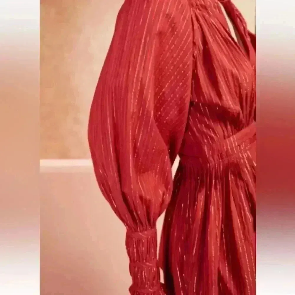 NWOT ULLA JOHNSON Metallic Cotton Long Sleeve Red Ruby Rory Dress Pockets Size 6 - Image 3