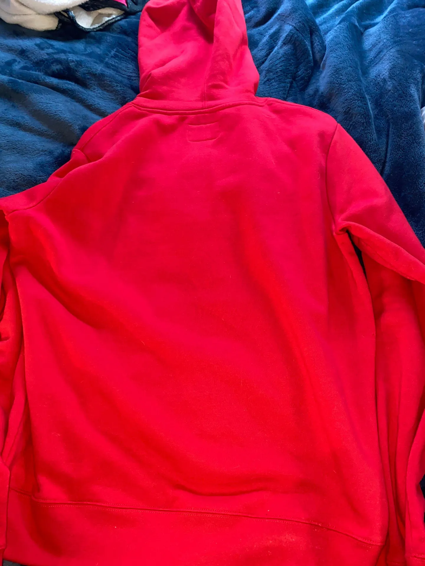 Champion Hoddie - Image 2