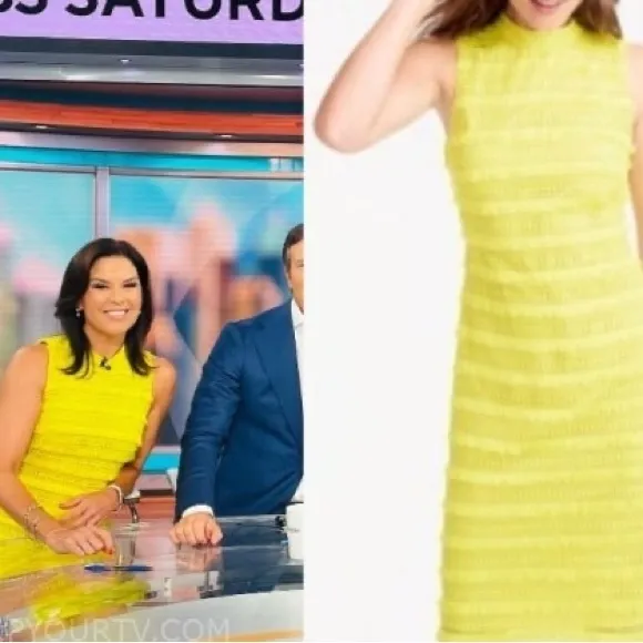 NWT J. Crew‎ Meg Fringe 6 Sheath yellow lined sleeveless Dress Lined Sleeveless - Image 10