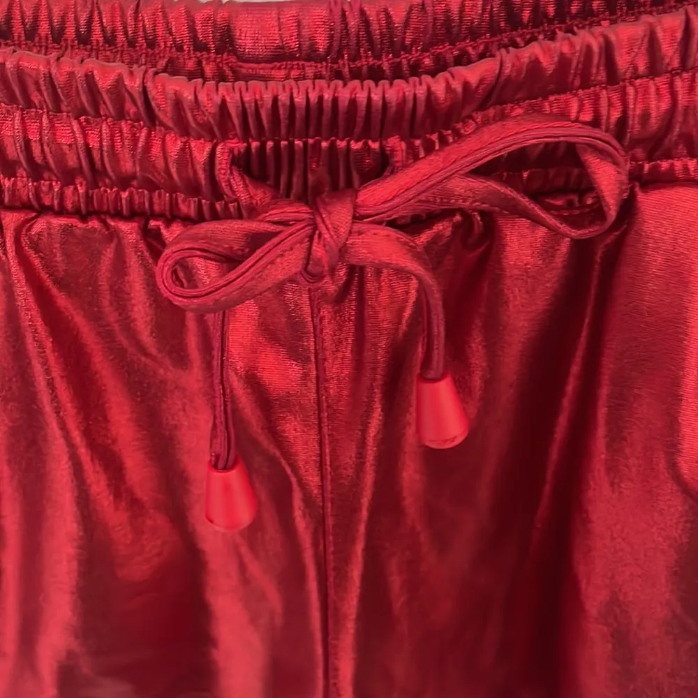 PoshDiva Red Metallic Roller Derby Shorts Large - Image 3
