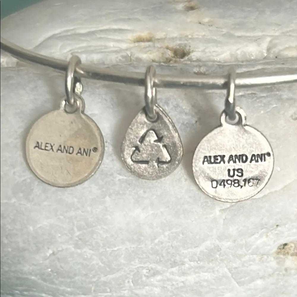 Alex and Ani Silver Tone “Because I Love You" Engraved Charm Bangle Bracelet - Image 5