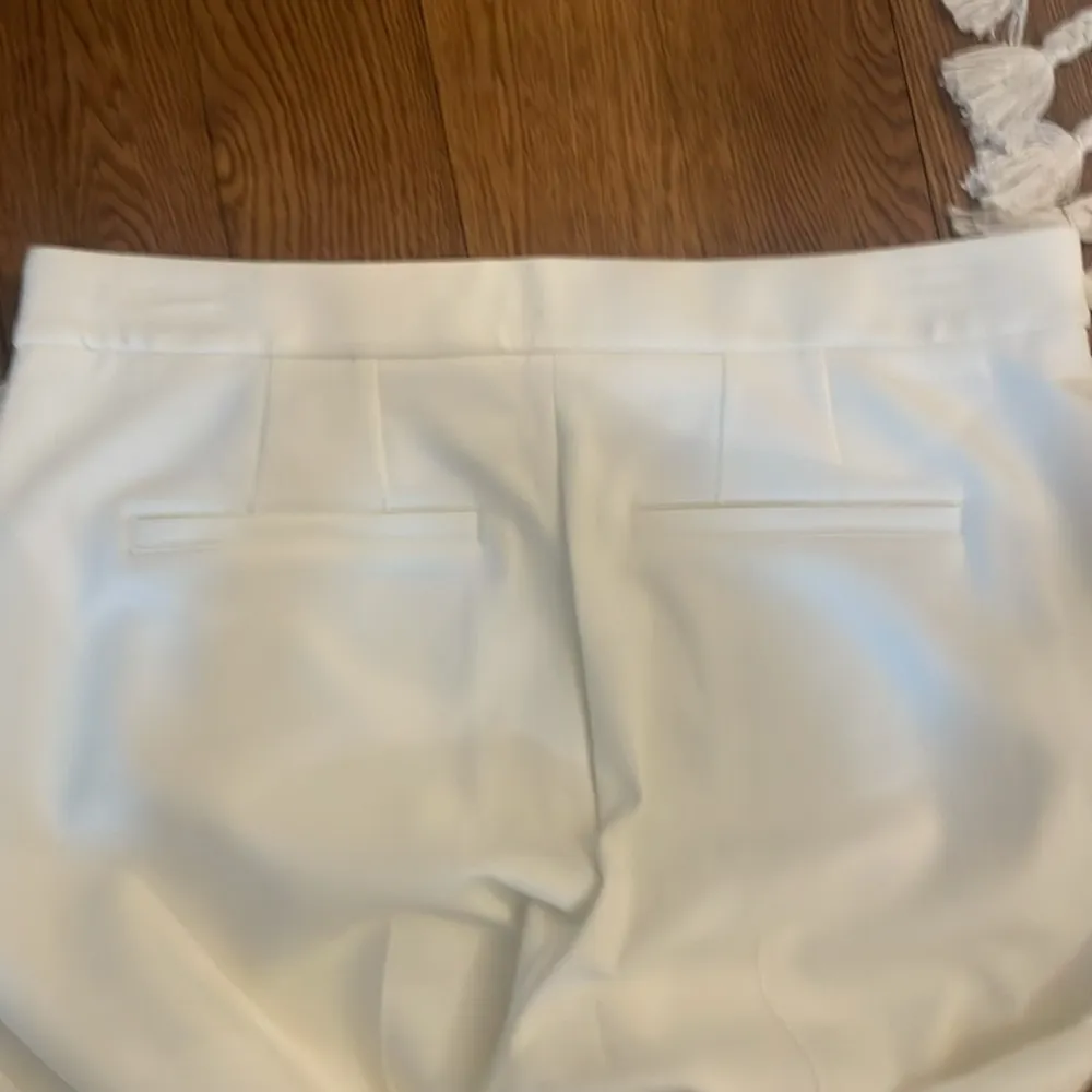 A.L.C. Cream Dress Pants GORGEOUS NEW NWT 12 - Image 4