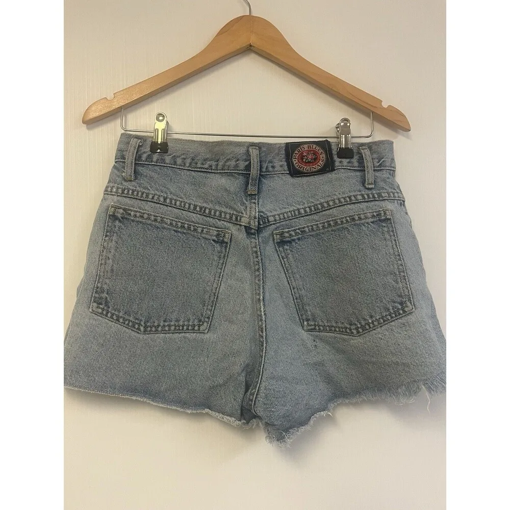 Vintage Medium Wash | 90s Embroidered Daisy Dukes Size  30 Hot Pants  Jean Denim - Image 2