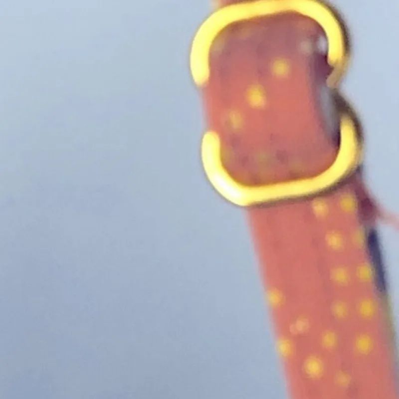 Ambrielle Floral Peach Halter Swim Top XL Braided Front Padded Cups Orange - Image 15