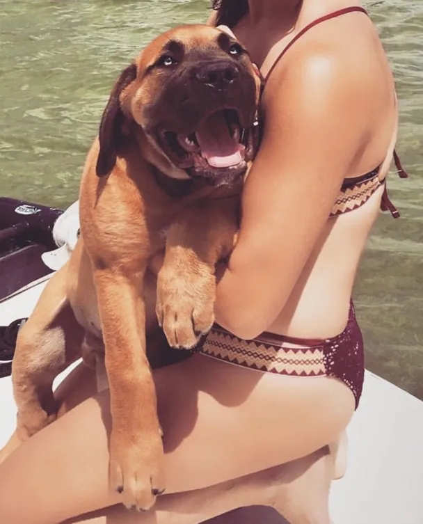 Target Maroon Swim Suit - Image 2