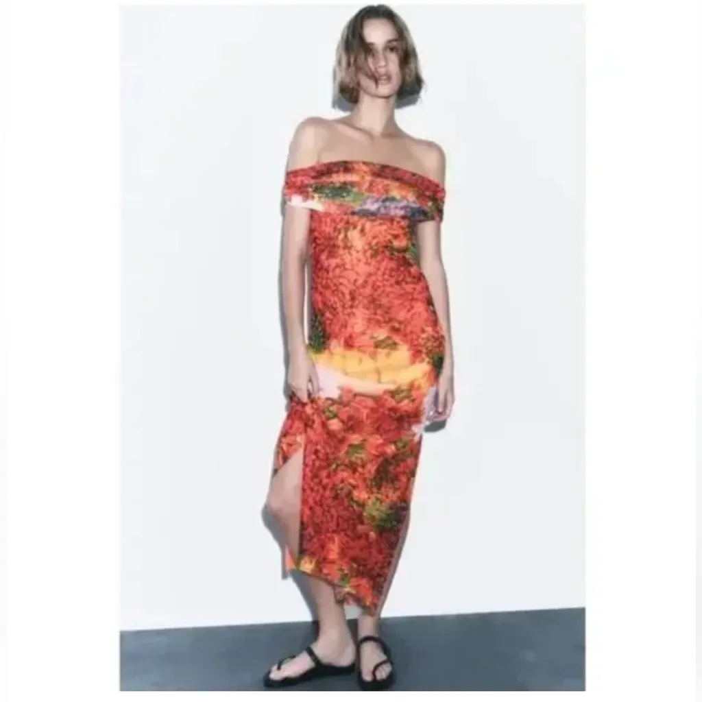 Zara Farmers Market Mesh Dress‎ Size Medium - Image 6