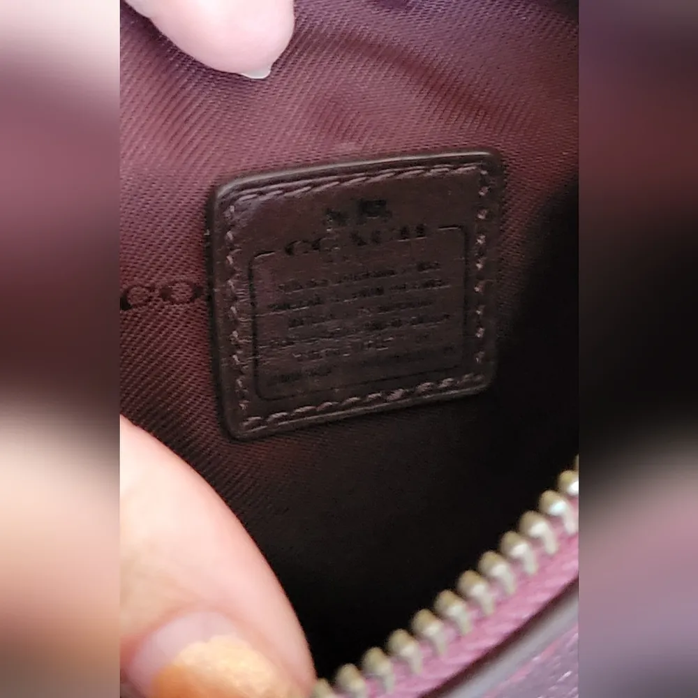 Coach Metallic Cherry Pebble Leather Crossbody Bag - Image 15