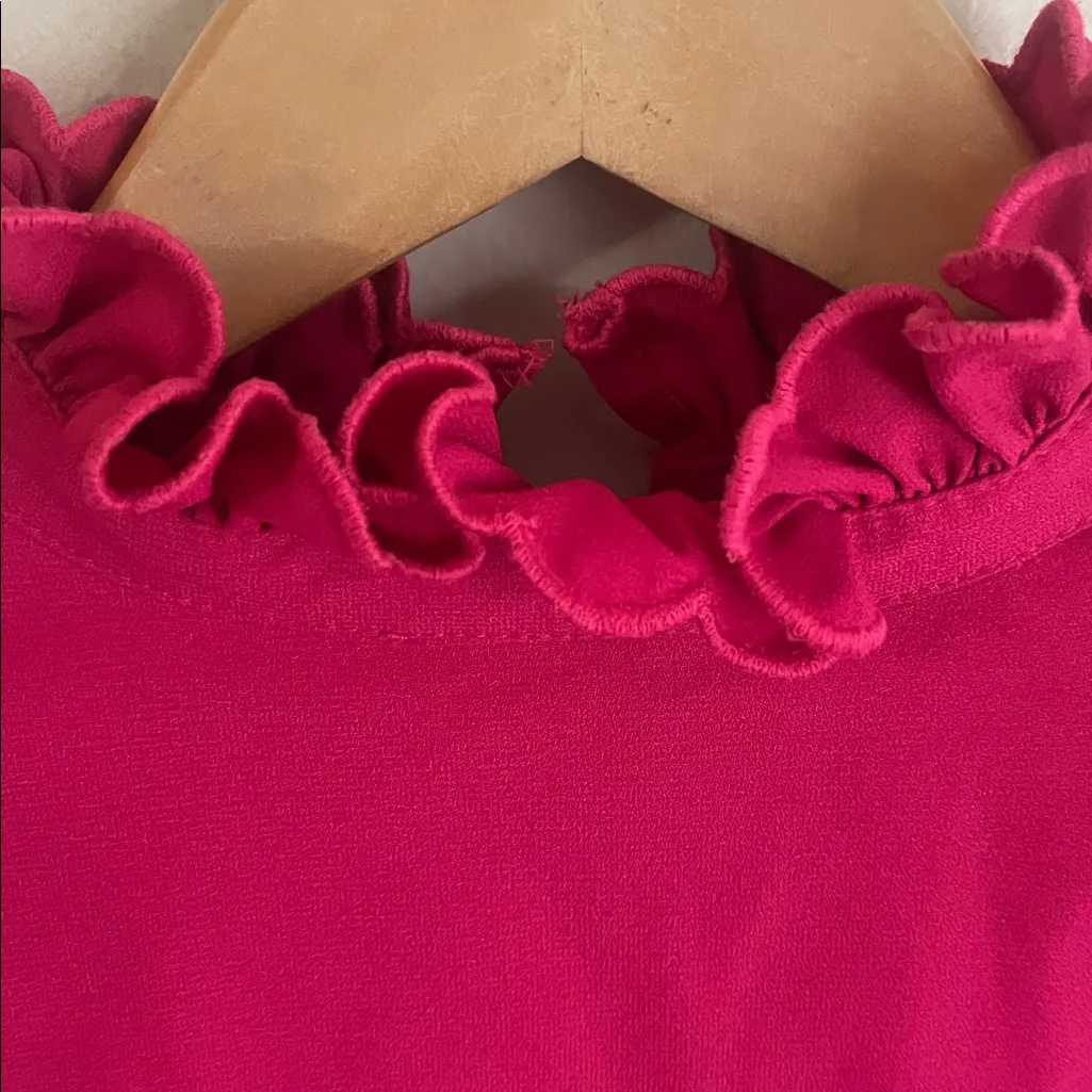 TUCKERNUCK POMANDER PLACE Selena Blouse Raspberry - Image 13