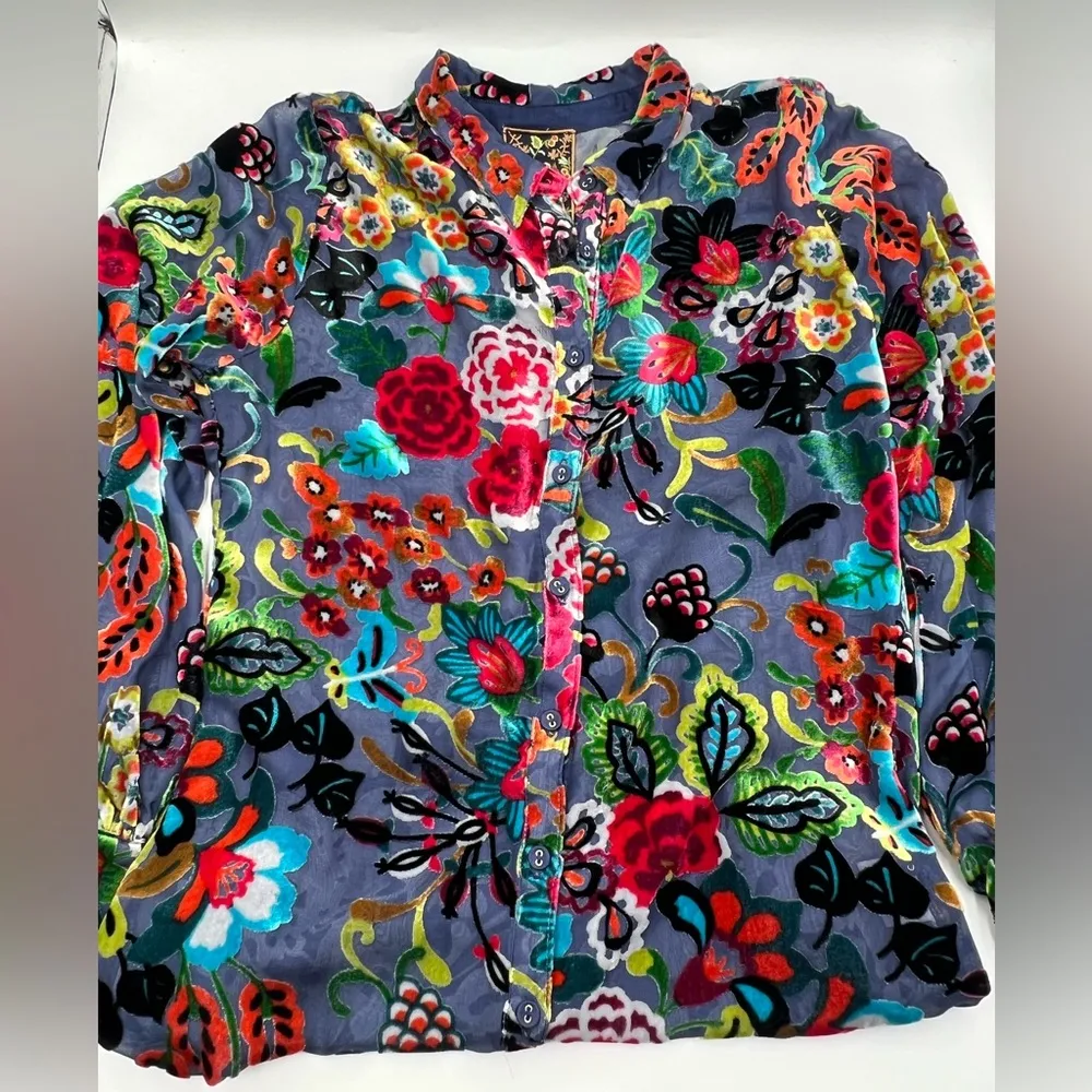 Johnny Was Minto Burnout Yrene Blouse - Image 3