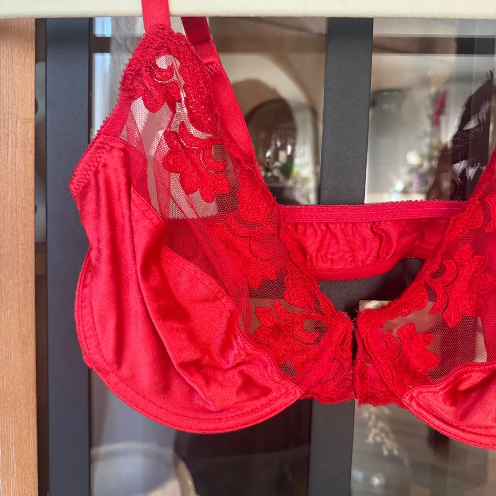 Vintage Dior silk lace bra wiring sheer mesh floral red sexy claspfront lingerie - Image 4