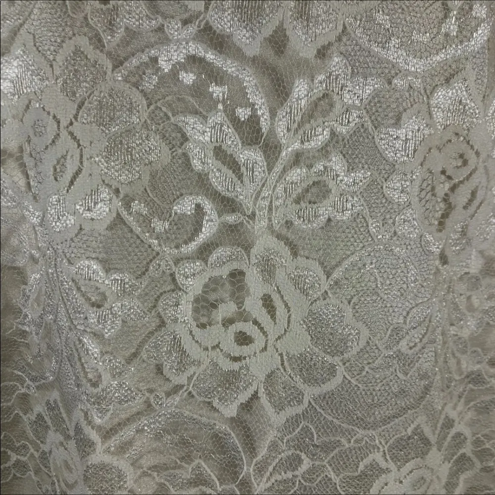 Leslie Fay sleeveless 
Beautiful lace dress with layered ruffles on the end. - Image 11