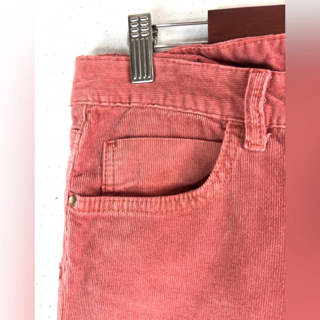 Billabong Seeker 31 Corduroy Dusty Pink Skinny Pants - Image 4