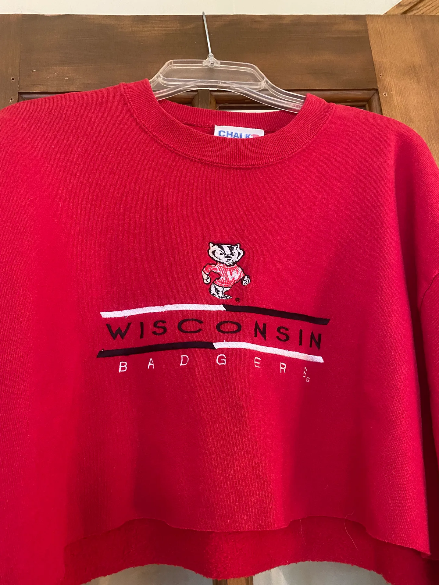 Only Wisconsin Cropped Crewneck - Image 3