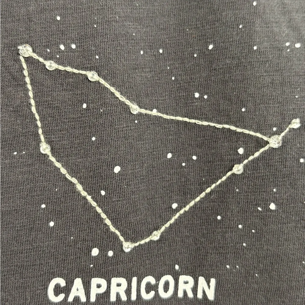 J.Crew Capricorn horoscope zodiac astrology T- shirt graphic tee size small - Image 7