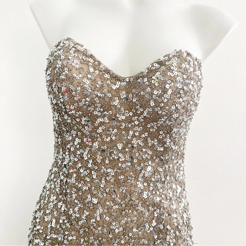 Scala Dress SMALL Silver Nude Strapless Sweetheart Silk Embellished Cocktail NEW - Image 4