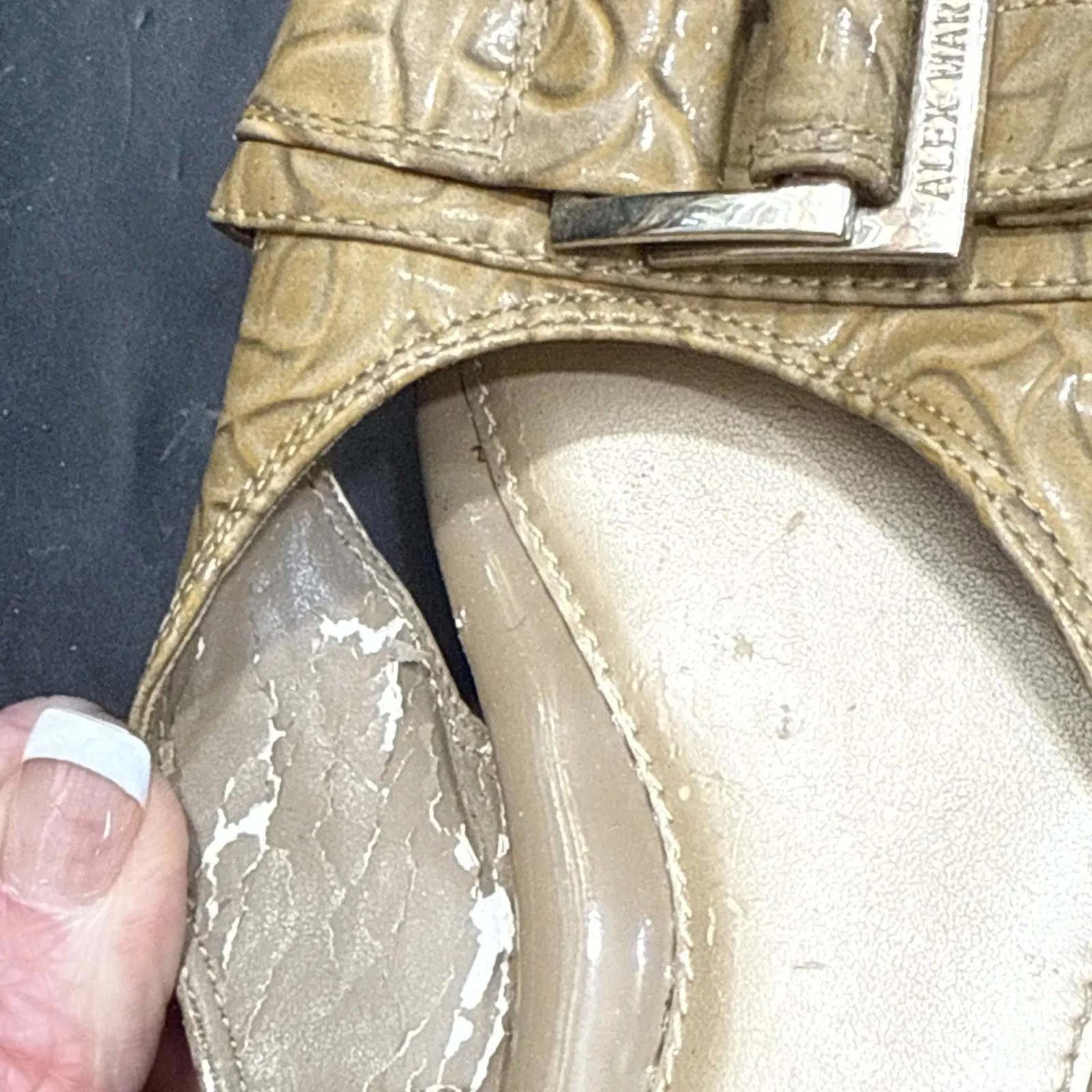 Alex Marie Hashleigh Metallic Mesh Jeweled Taupe/Silver Dress Shoes Size 10 M - Image 6