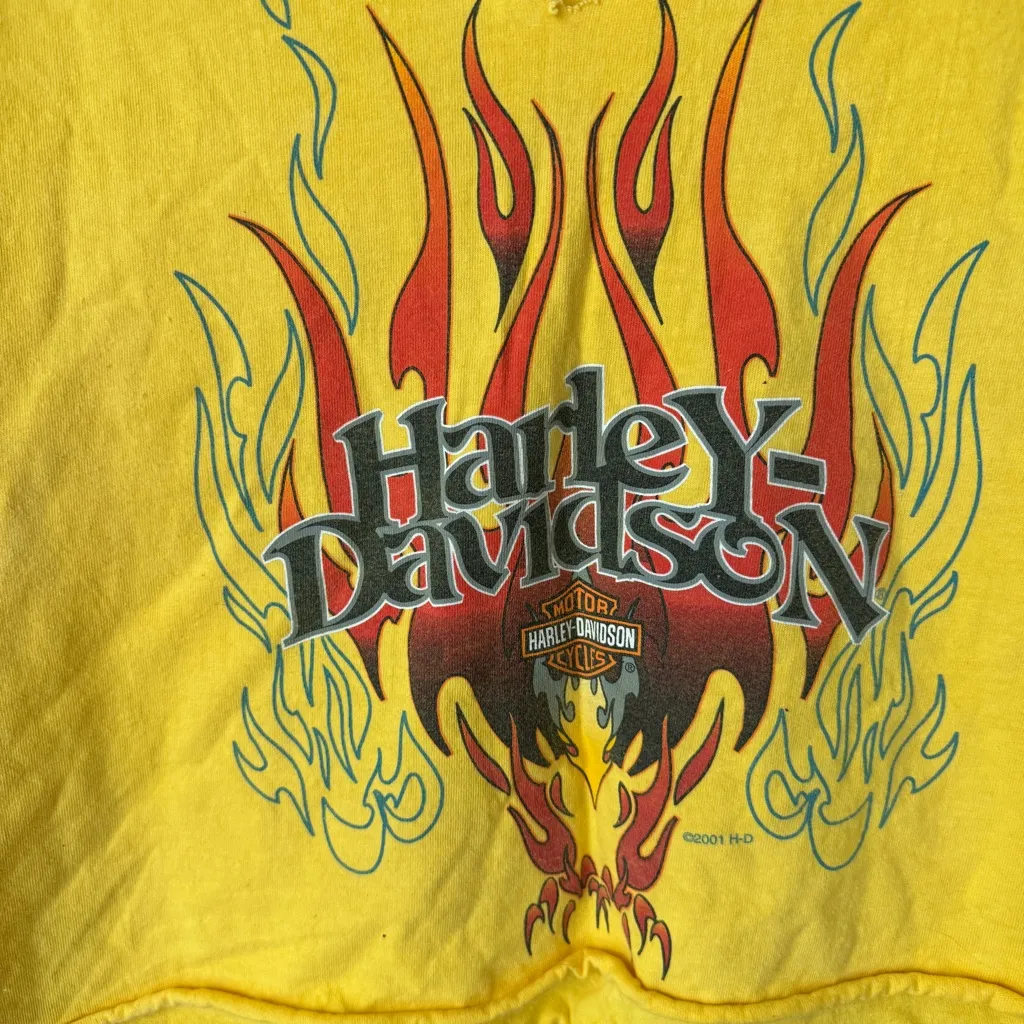 Vintage 2002 Harley Davidson reworked cropped tee top tank cowboy texas diy Orange Size L - Image 5