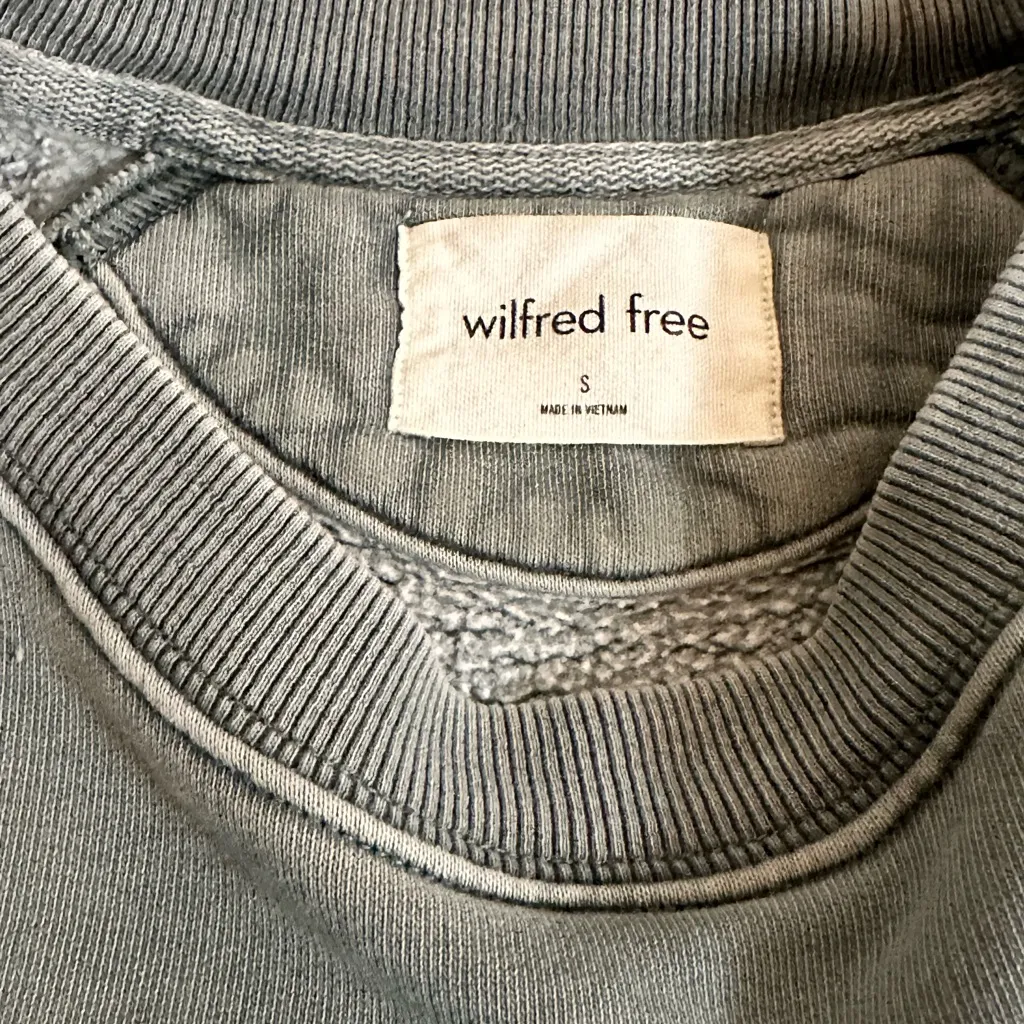 Wilfred Free by Aritzia Fleece Raglan Sweatshirt washed sage cozy minimalist - Image 5