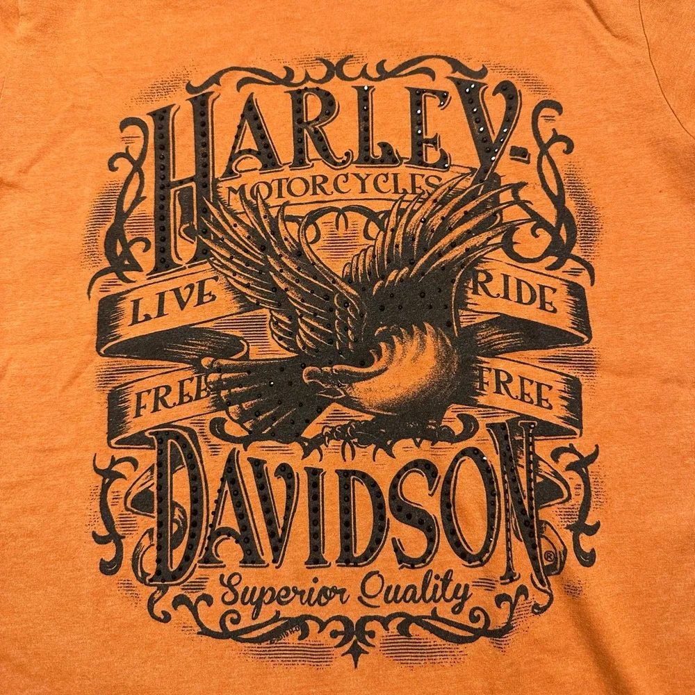 Harley Davidson T-Shirt, Size Medium - Image 3