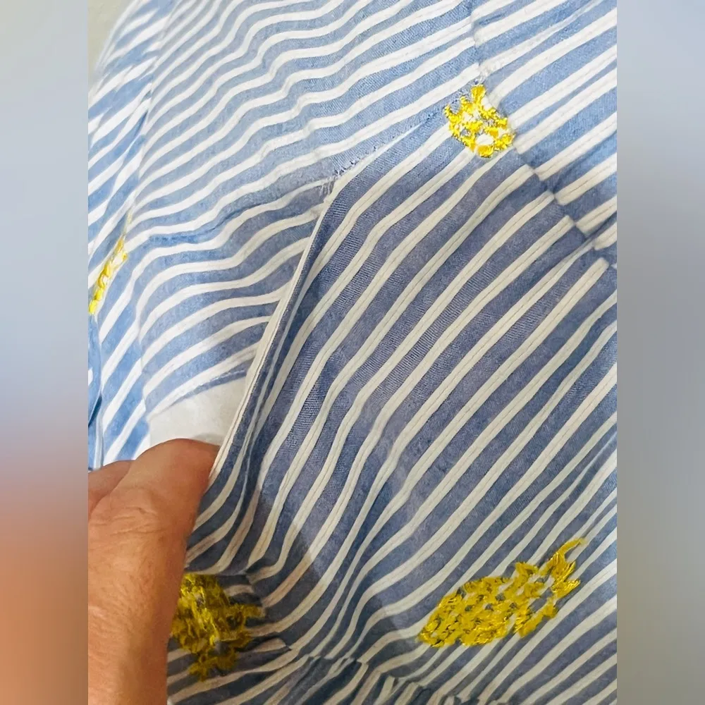 J.Crew Embroidered Pineapple Striped Tiered Midi Skirt Blue White Size XS - Image 9