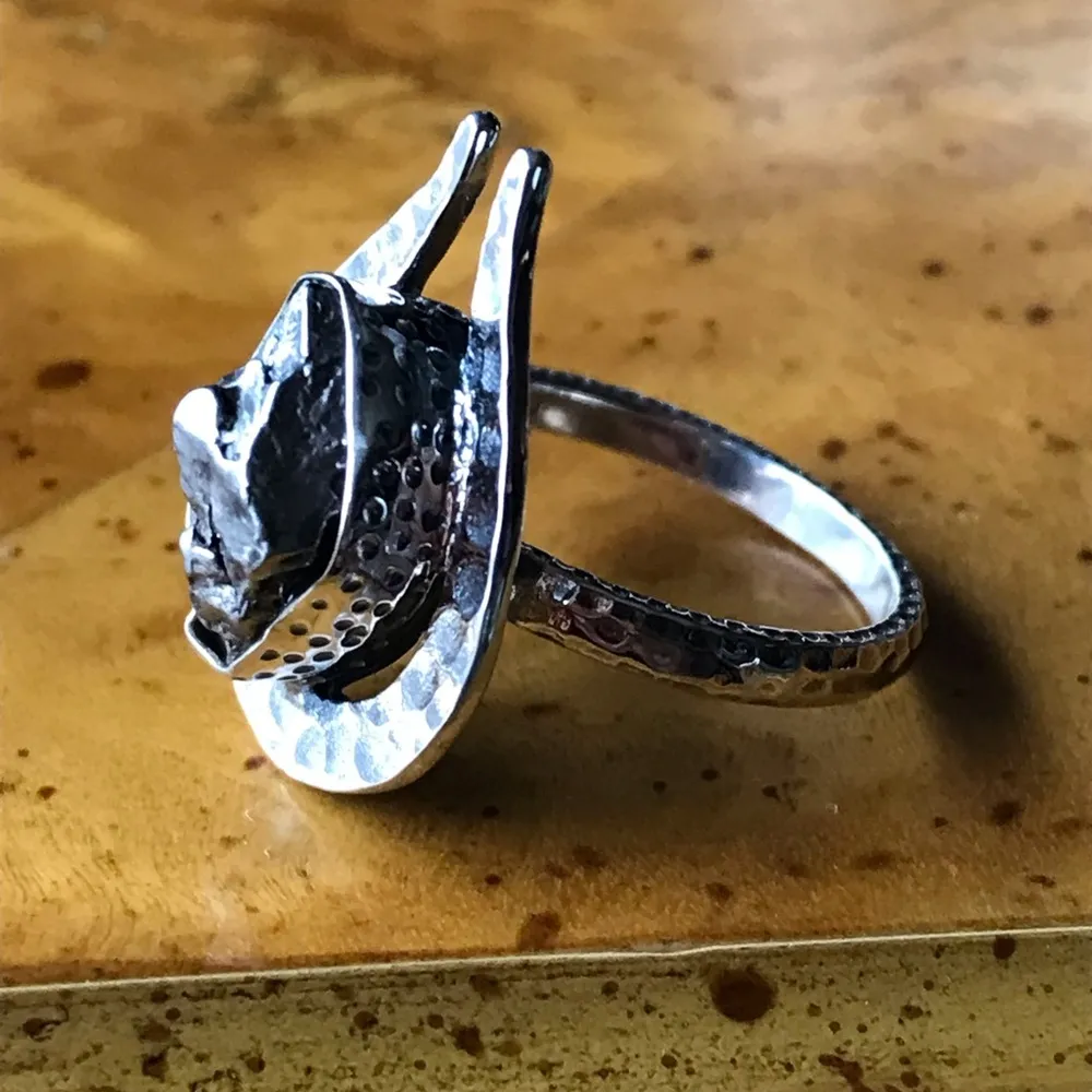 Genuine Meteorite Sterling Silver Ring Size 8 - Image 8