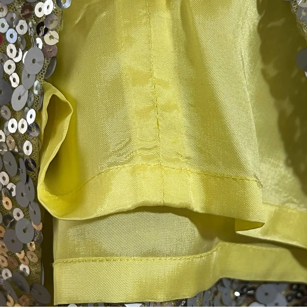 Robert Rodriguez Pencil Skirt Sequined Lemonchello Black Band - Image 11