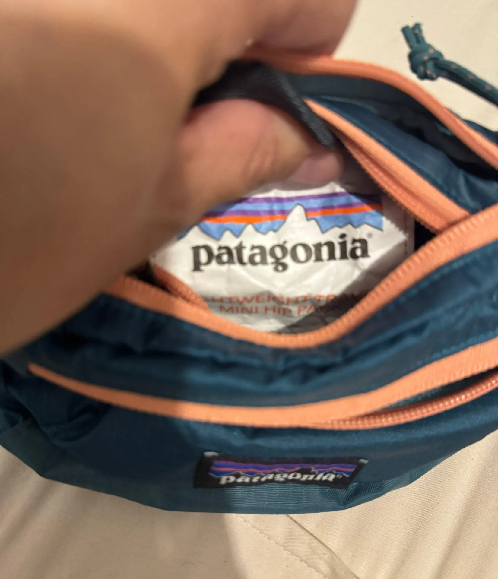 Patagonia Mini Hip Bag - Image 5