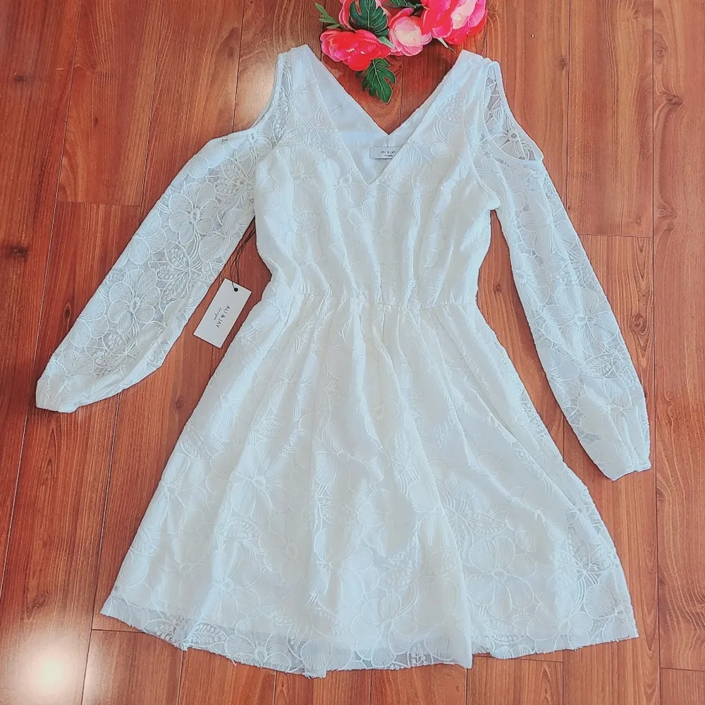 Embordiered Dress Size Small - Image 3