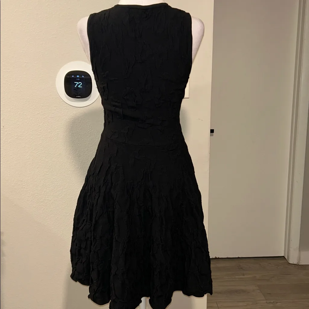 John+Jenn Black Sleeveless Textured Fit N Flare A-Line Dress S/P - Image 4