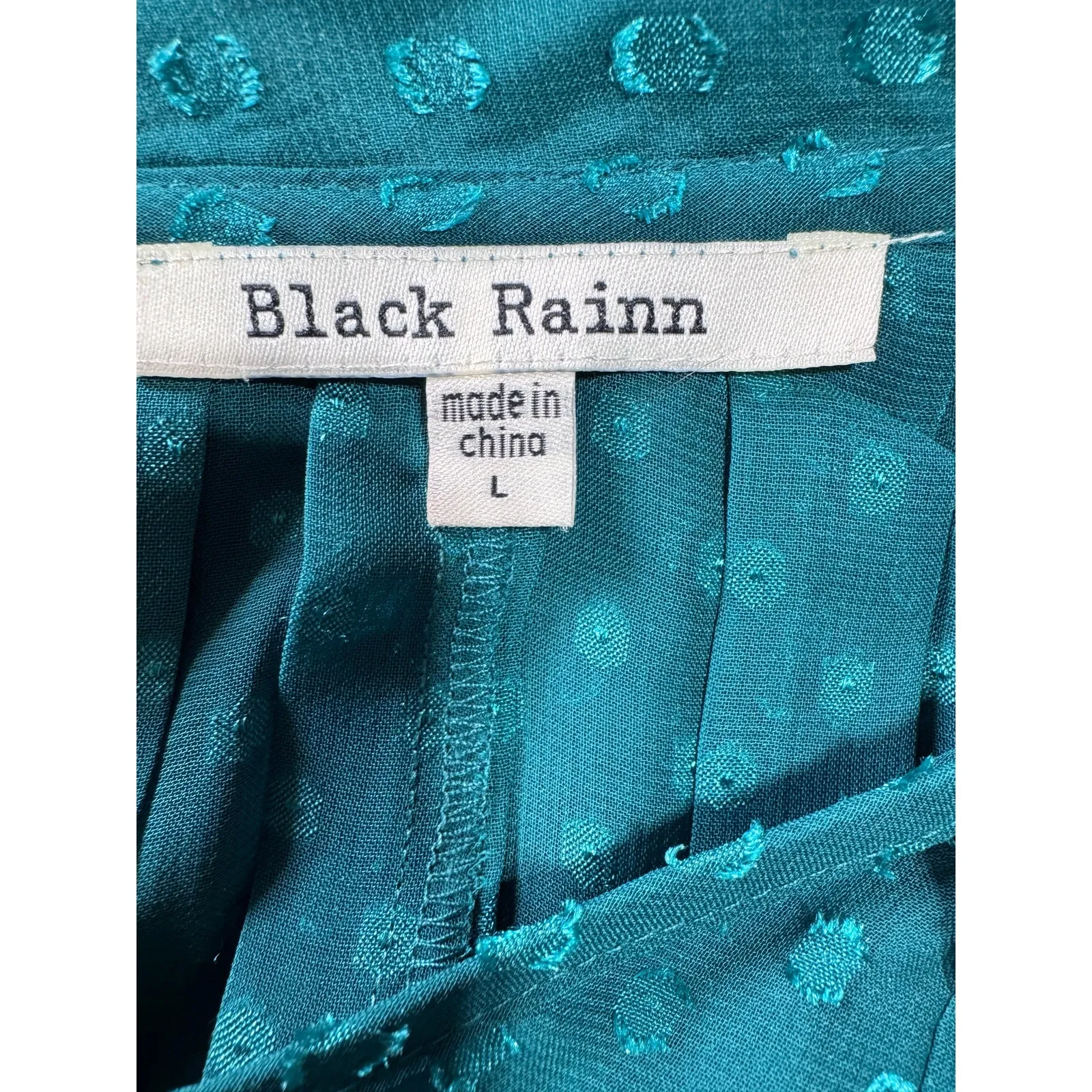 Black Rainn Teal Sheer Blouse Swiss Dot Boho Peasant Top Romantic Women's Large - Image 6